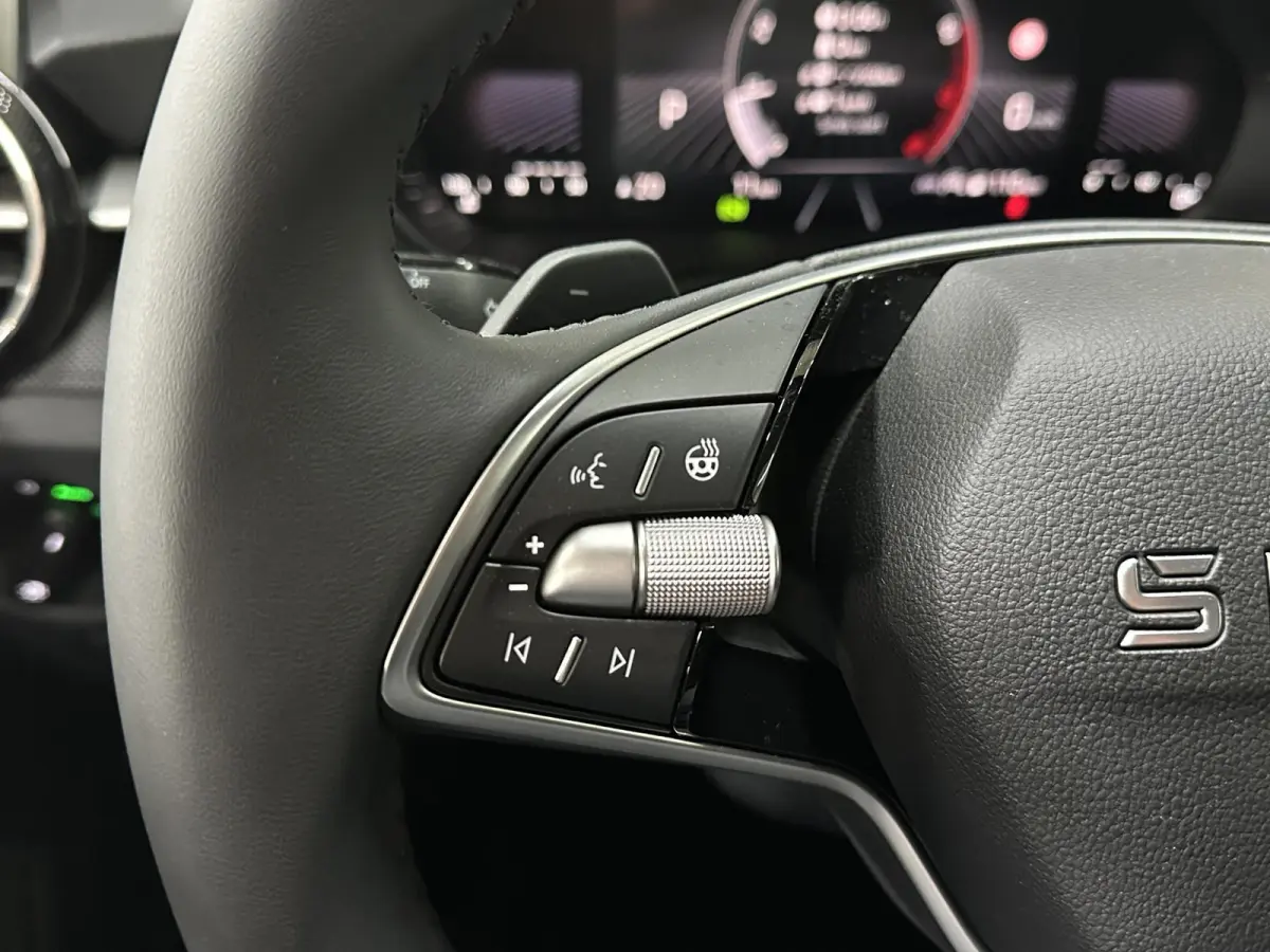 1.0 TSI 115 pk DSG Edition | Apple Carplay/Android Auto | Camera | Winter Pakket |
