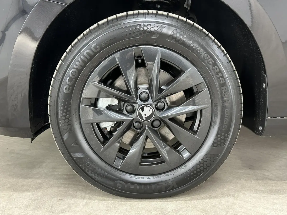 1.0 TSI 115 pk DSG Edition | Apple Carplay/Android Auto | Camera | Winter Pakket |