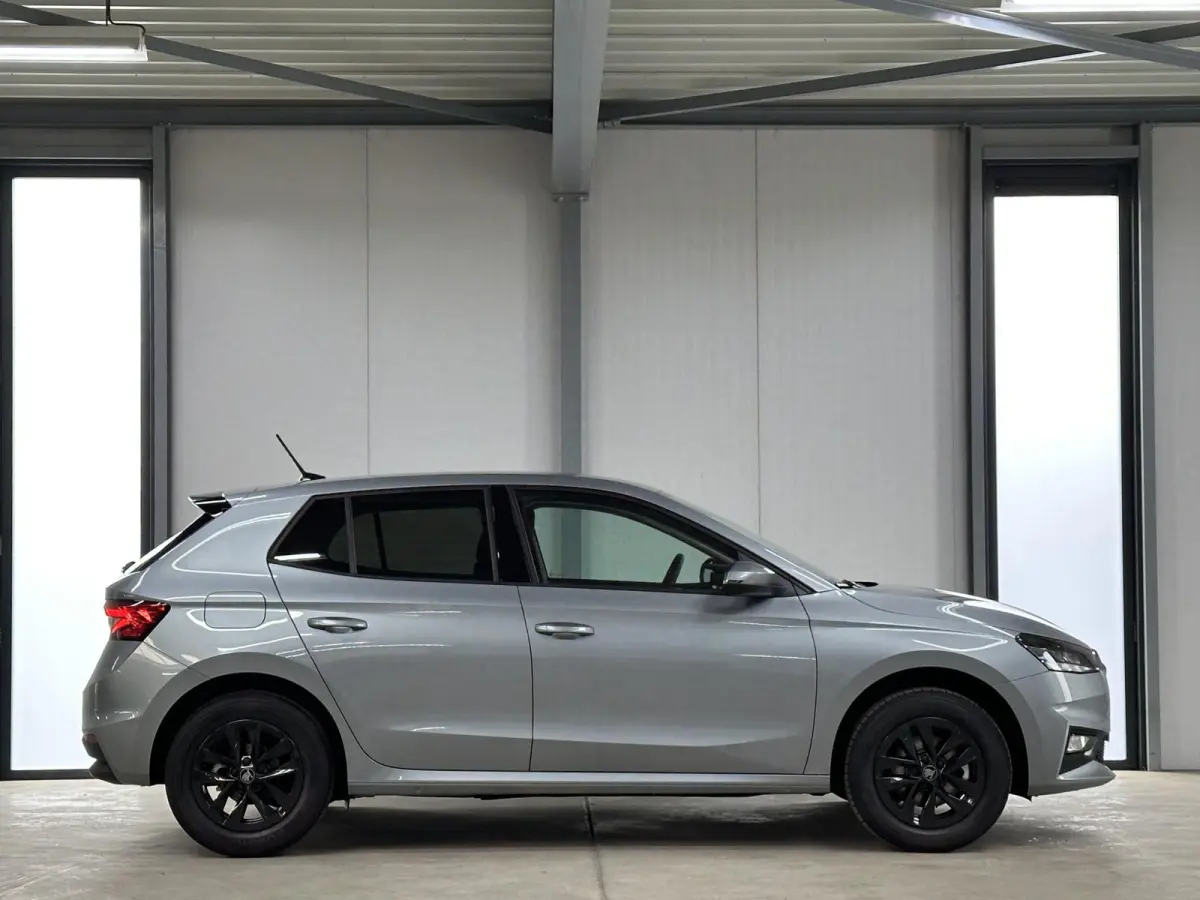 1.0 TSI 115 pk DSG Edition | Apple Carplay/Android Auto | Camera | Winter Pakket |