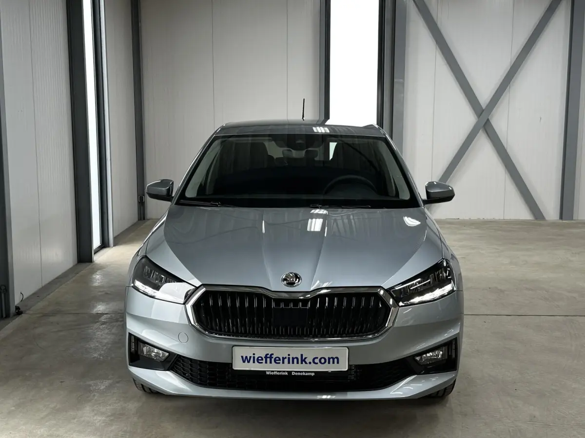 1.0 TSI 115 pk DSG Edition | Apple Carplay/Android Auto | Camera | Winter Pakket |