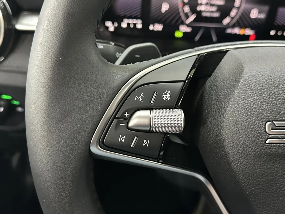 1.0 TSI 115 pk DSG Edition | Apple Carplay/Android Auto | Camera | Winter Pakket |