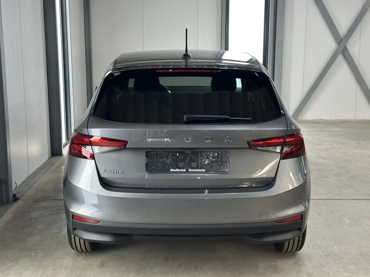 1.0 TSI 115 pk DSG Edition | Apple Carplay/Android Auto | Camera | Winter Pakket |