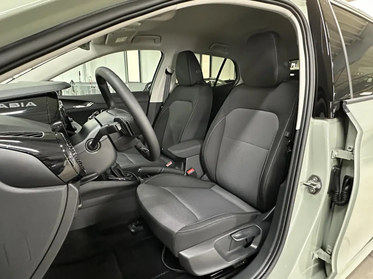1.0 TSI 115 pk DSG Edition | Apple Carplay/Android Auto | Camera | Winter Pakket |