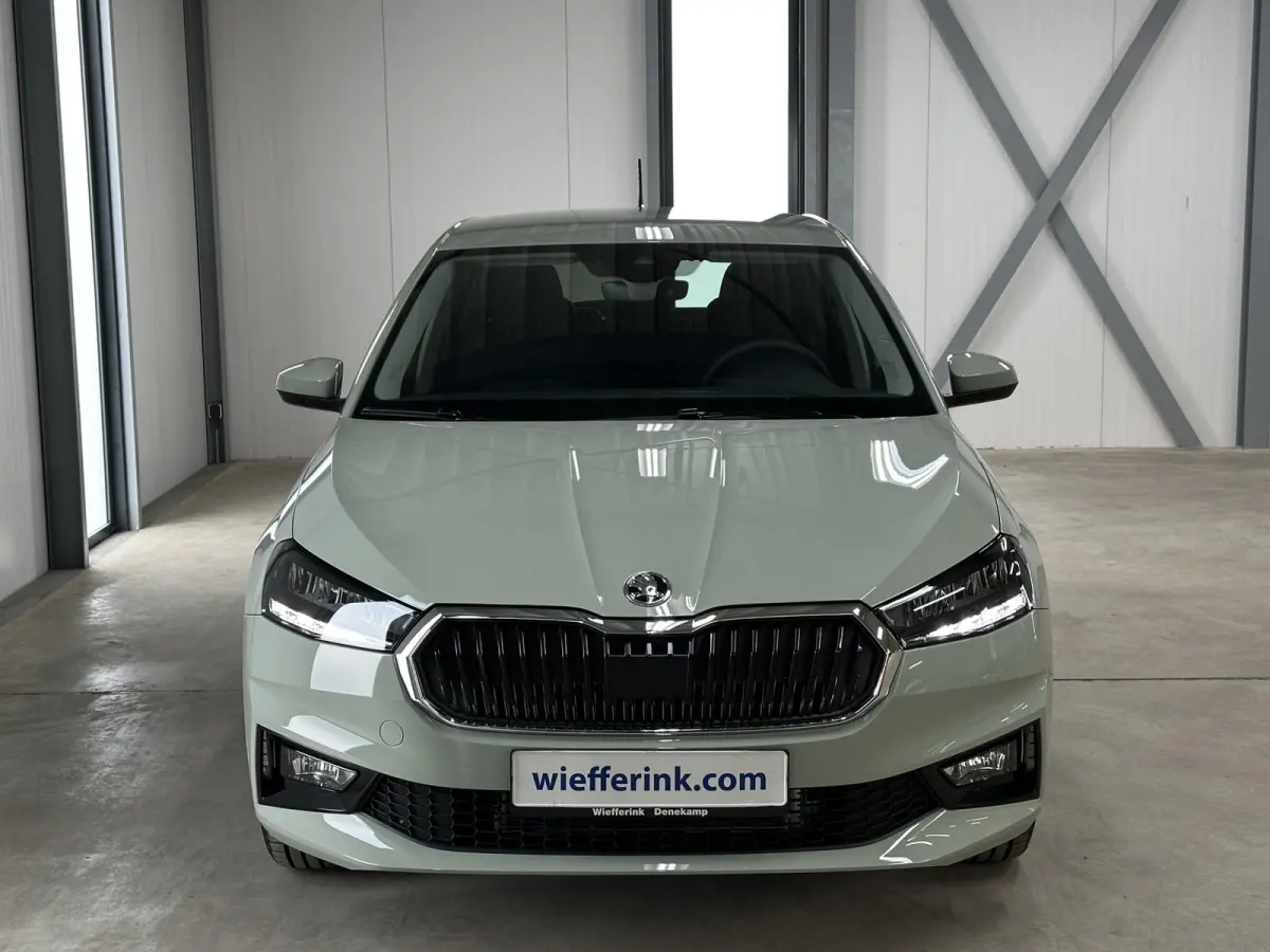1.0 TSI 115 pk DSG Edition | Apple Carplay/Android Auto | Camera | Winter Pakket |