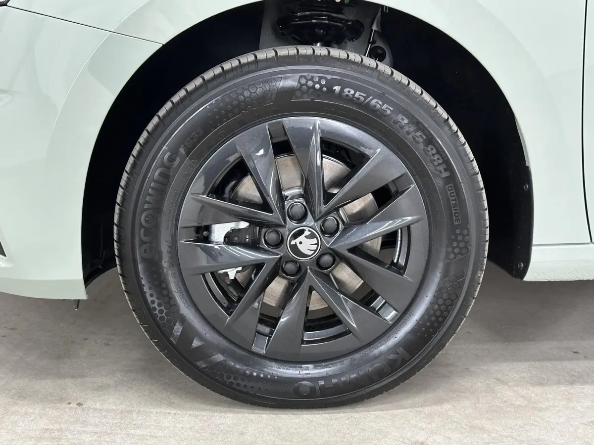 1.0 TSI 115 pk DSG Edition | Apple Carplay/Android Auto | Camera | Winter Pakket |