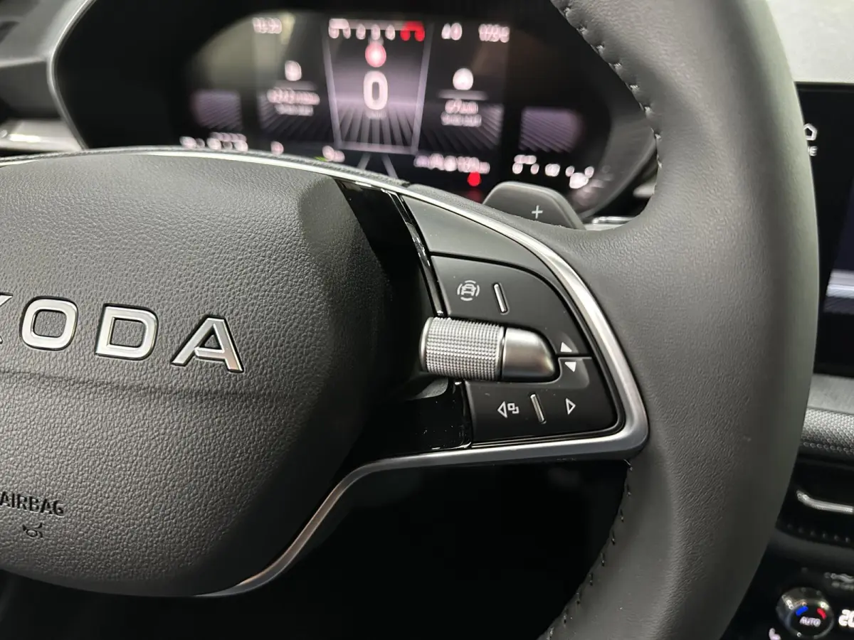 1.0 TSI 115 pk DSG Edition | Apple Carplay/Android Auto | Camera | Winter Pakket |