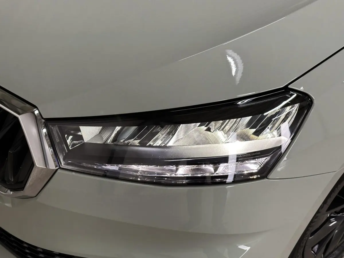 1.0 TSI 115 pk DSG Edition | Apple Carplay/Android Auto | Camera | Winter Pakket |