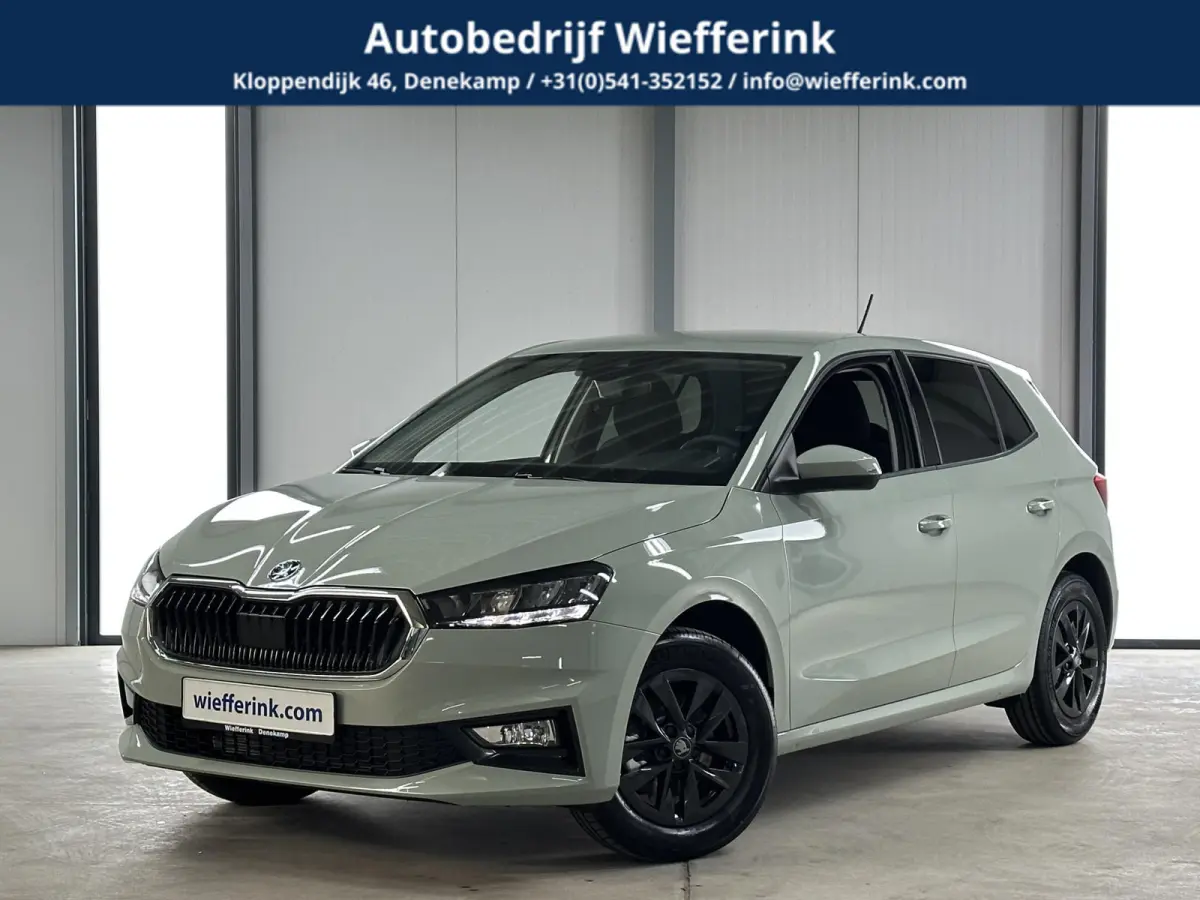 1.0 TSI 115 pk DSG Edition | Apple Carplay/Android Auto | Camera | Winter Pakket |