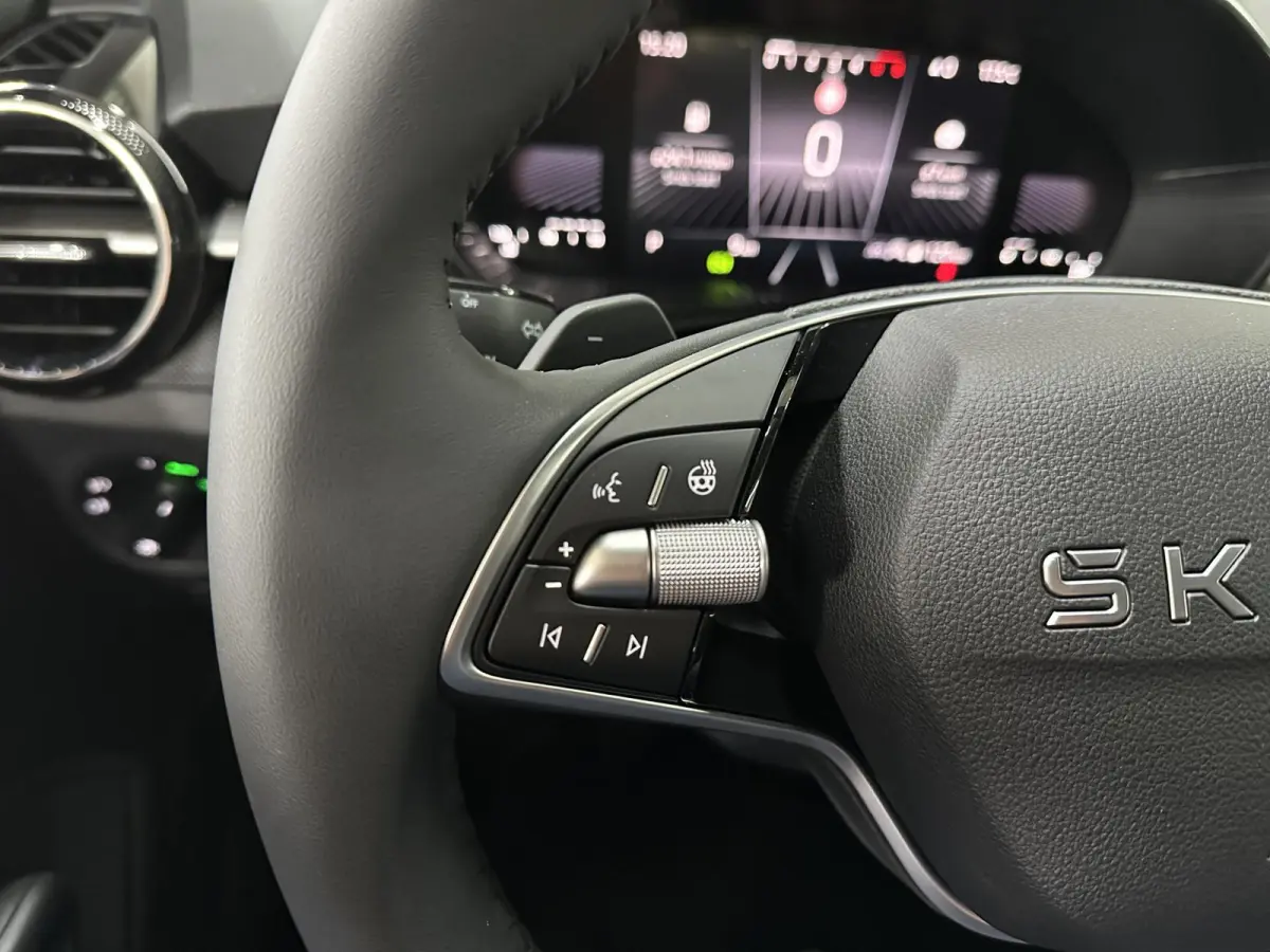 1.0 TSI 115 pk DSG Edition | Apple Carplay/Android Auto | Camera | Winter Pakket |