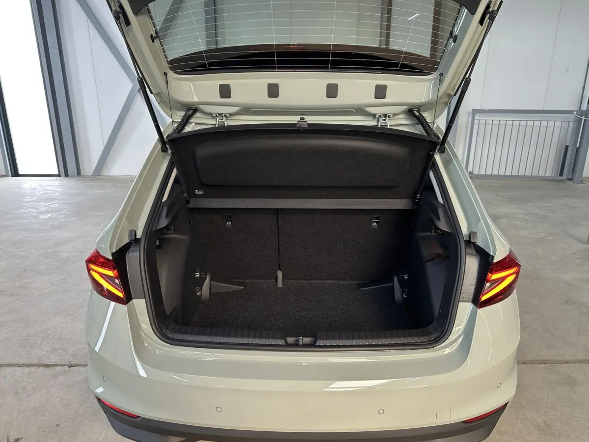 1.0 TSI 115 pk DSG Edition | Apple Carplay/Android Auto | Camera | Winter Pakket |