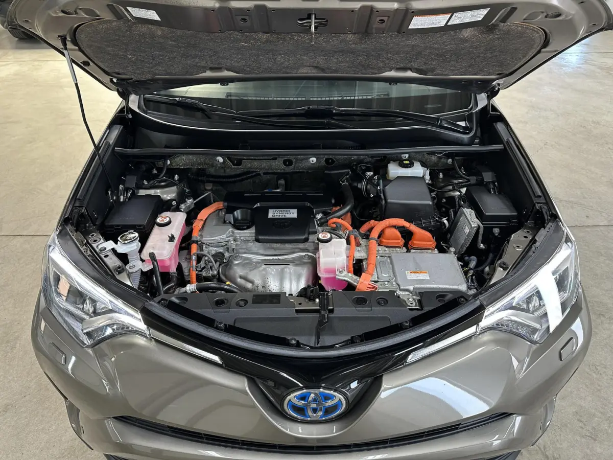 2.5 Hybrid Dynamic Sport | Navi | Camera |