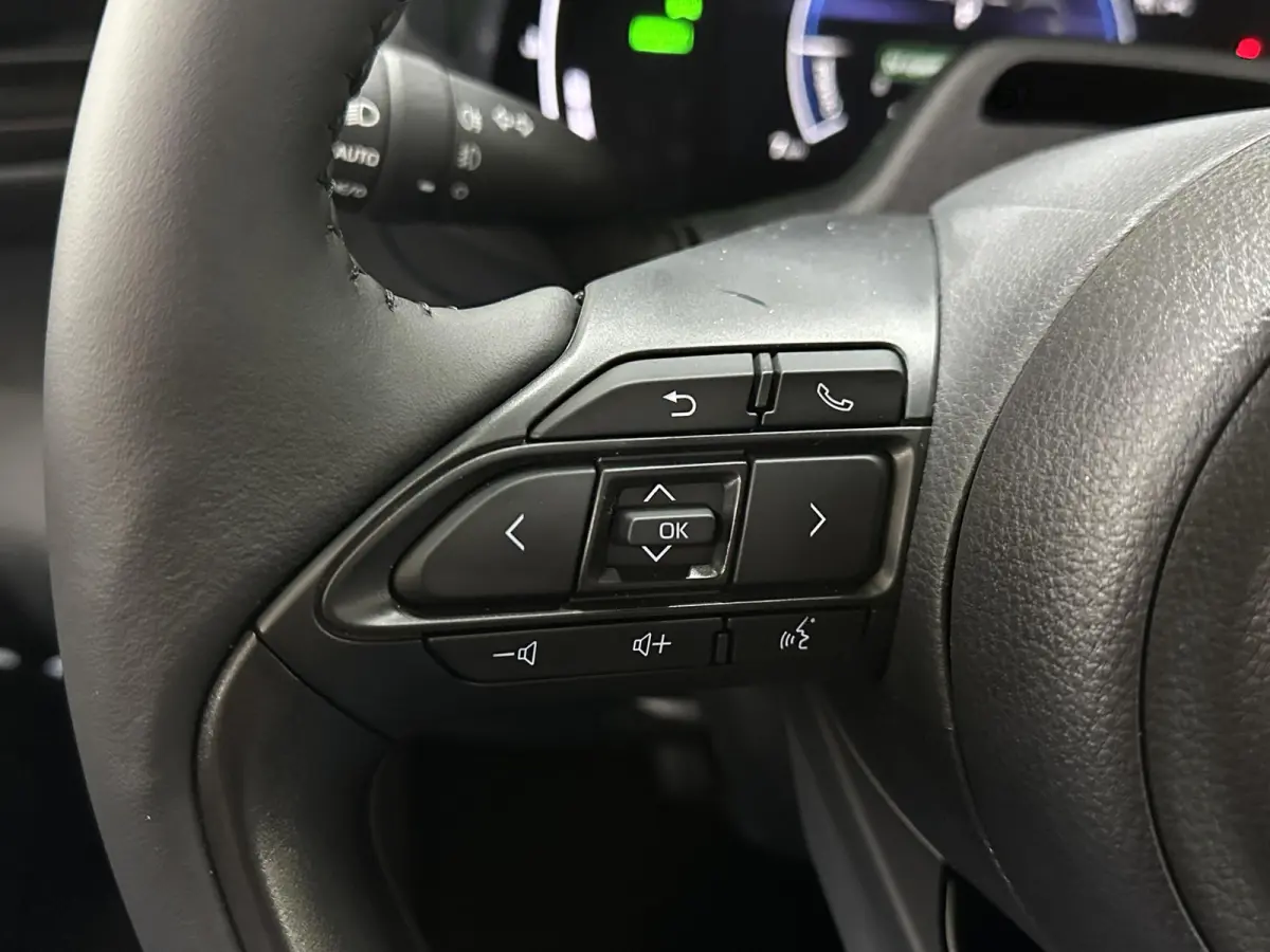 1.5 Hybrid 115 Dynamic | Stoel stuur verw. | Camera |