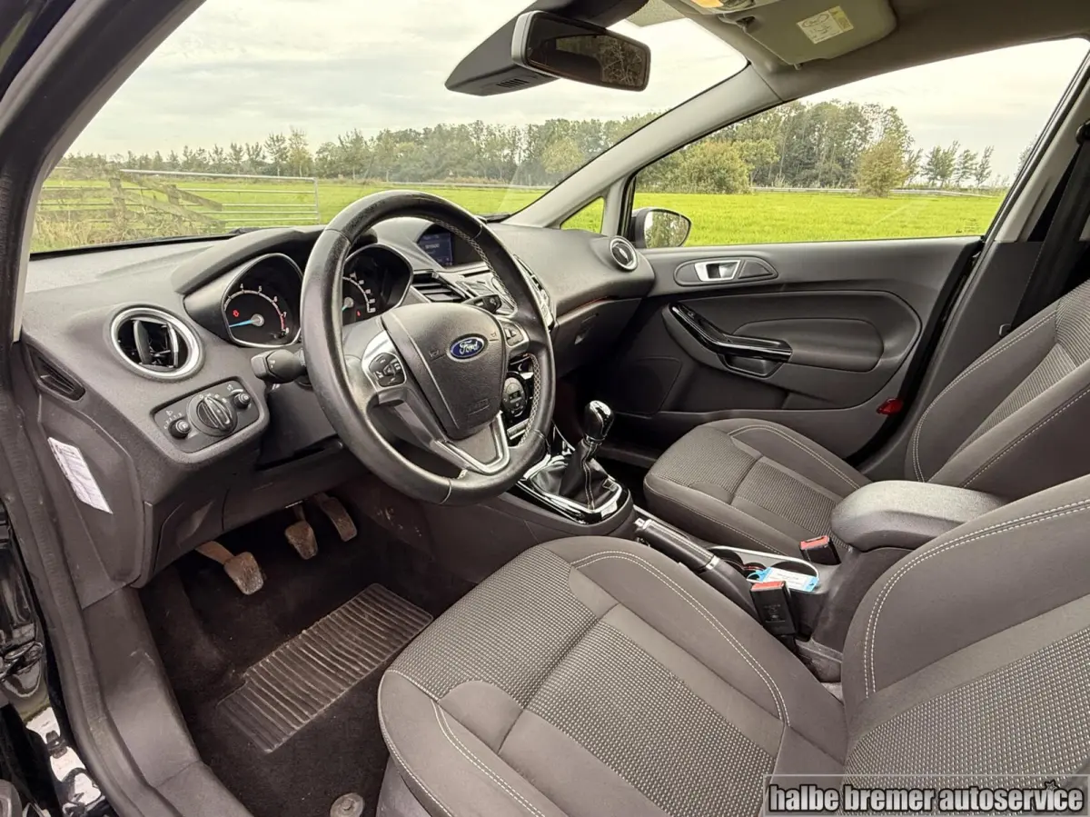 1.0 EcoBoost Titanium |PDC|Cruise|Clima|100 pk