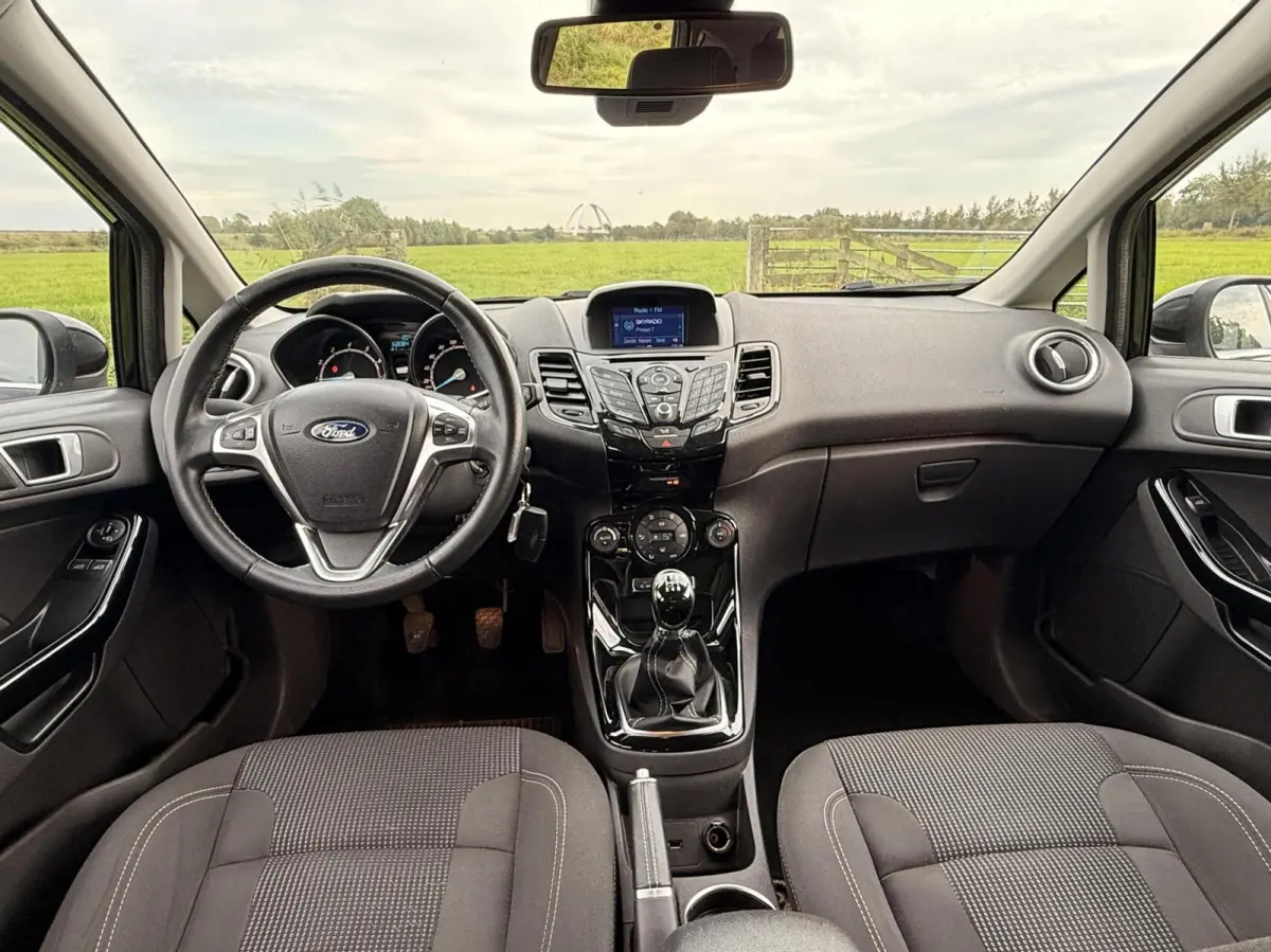 1.0 EcoBoost Titanium |PDC|Cruise|Clima|100 pk