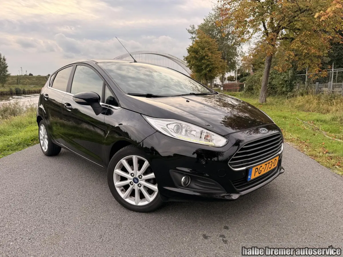 1.0 EcoBoost Titanium |PDC|Cruise|Clima|100 pk