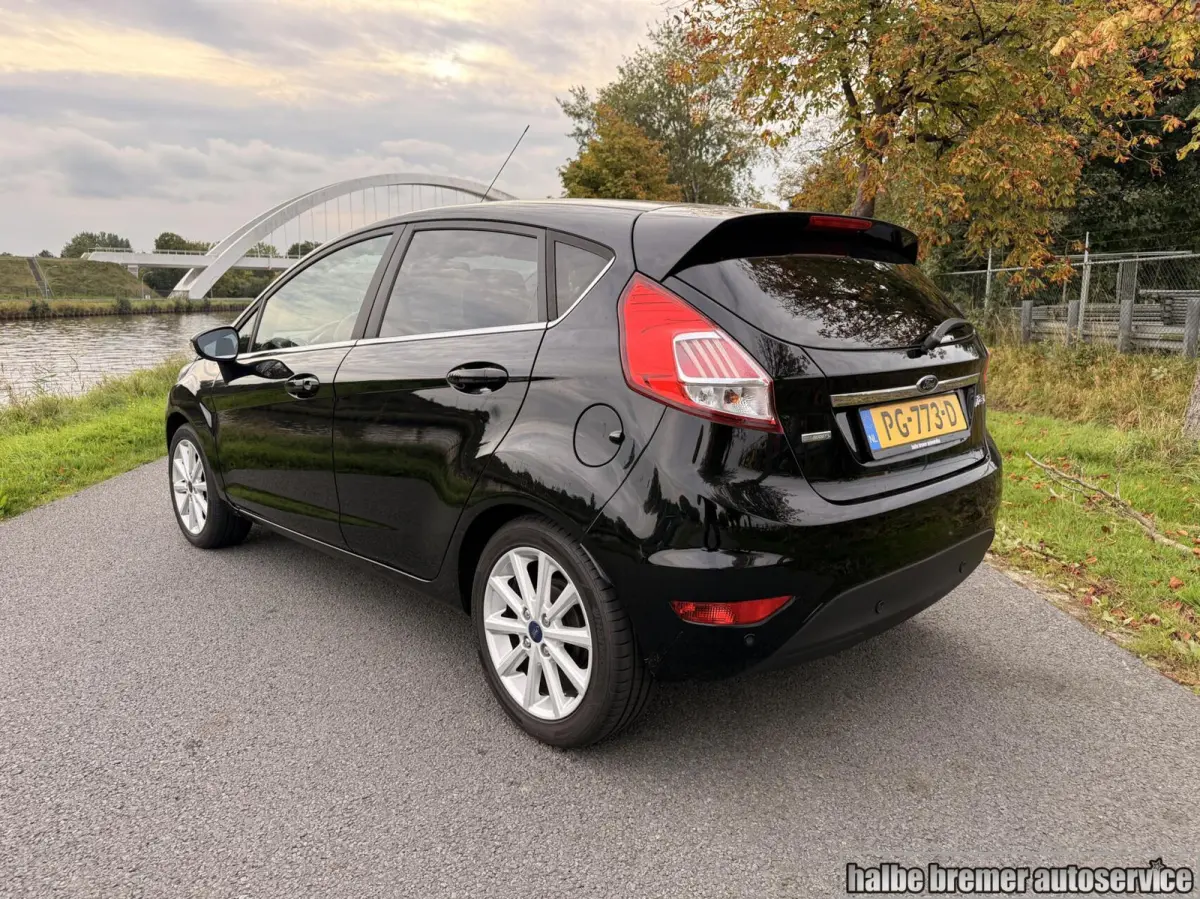 1.0 EcoBoost Titanium |PDC|Cruise|Clima|100 pk