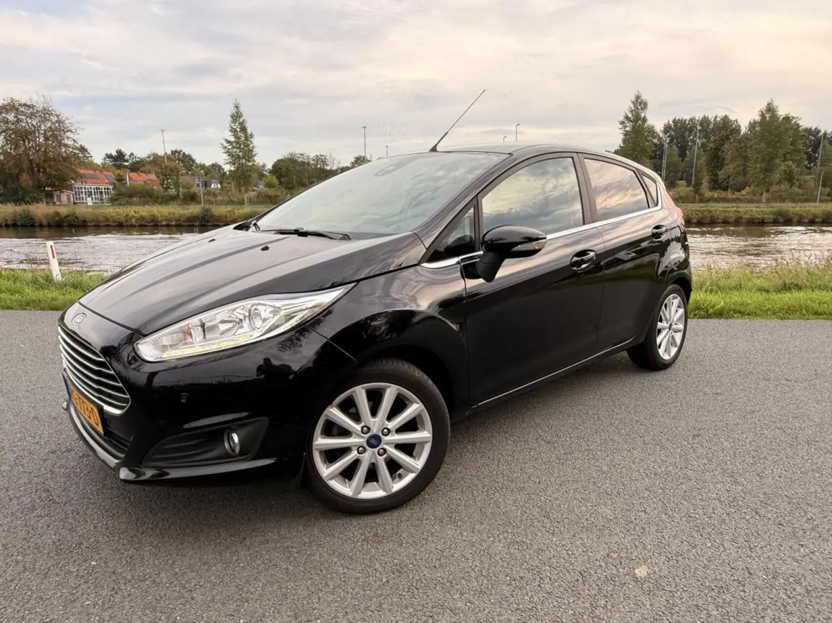 1.0 EcoBoost Titanium |PDC|Cruise|Clima|100 pk