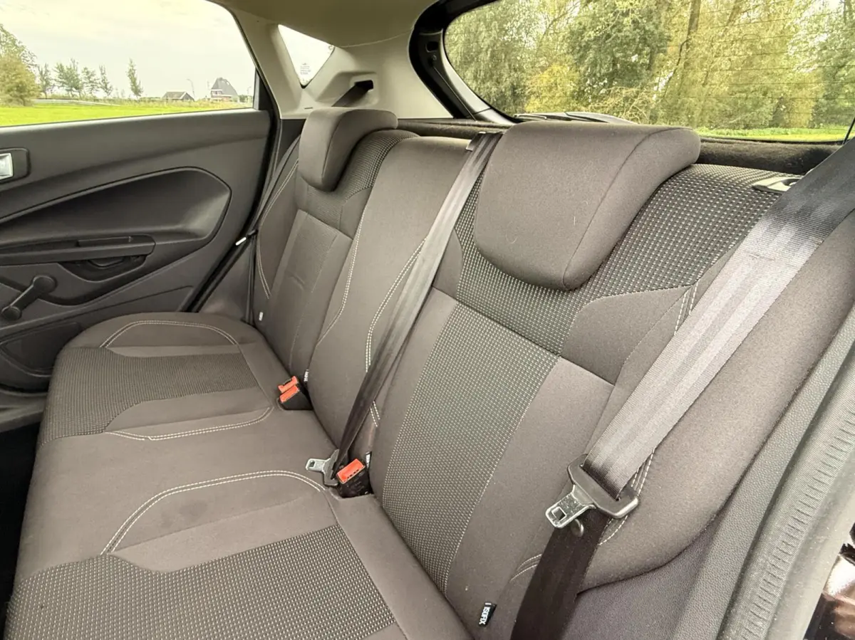 1.0 EcoBoost Titanium |PDC|Cruise|Clima|100 pk