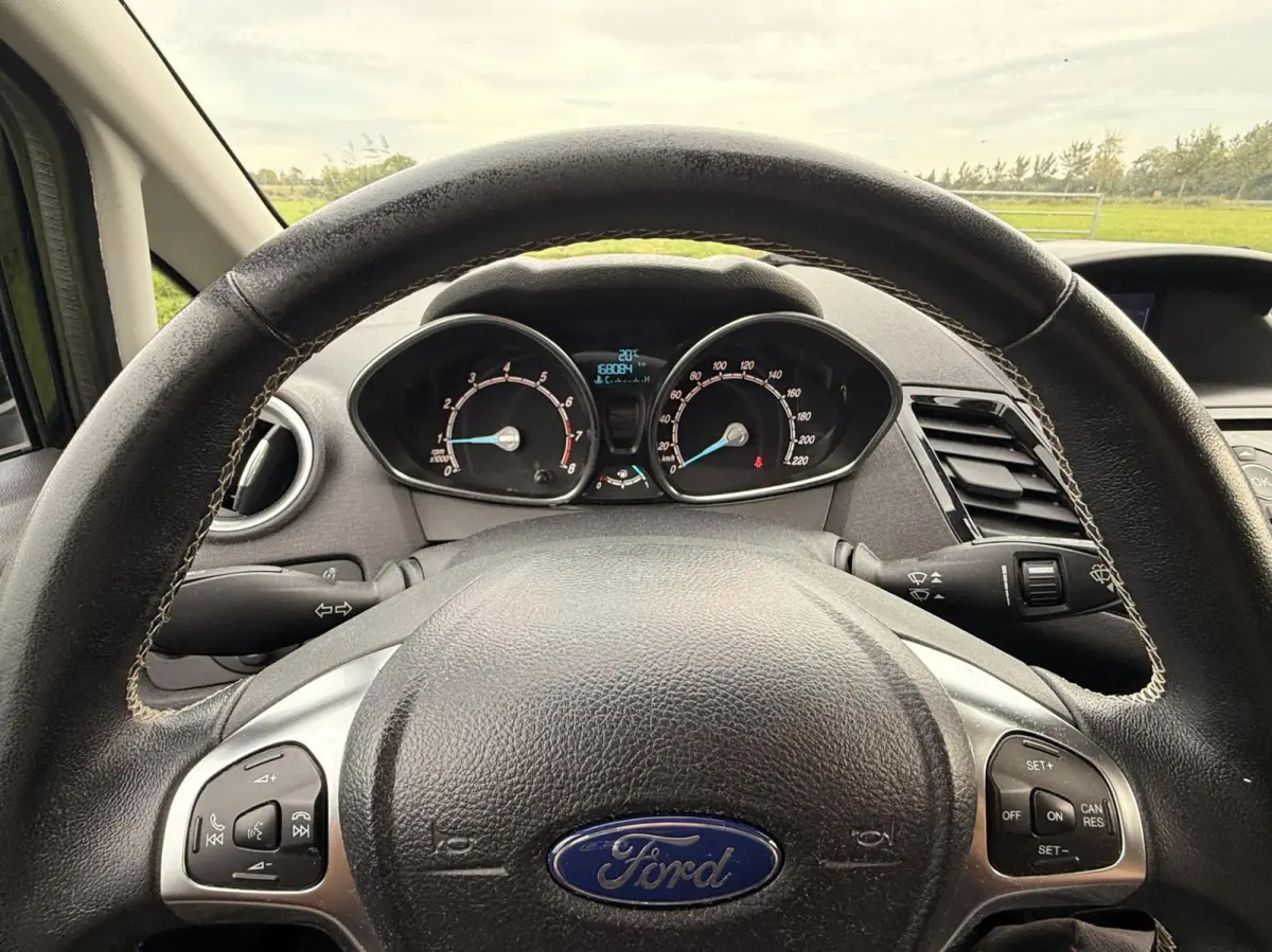 1.0 EcoBoost Titanium |PDC|Cruise|Clima|100 pk
