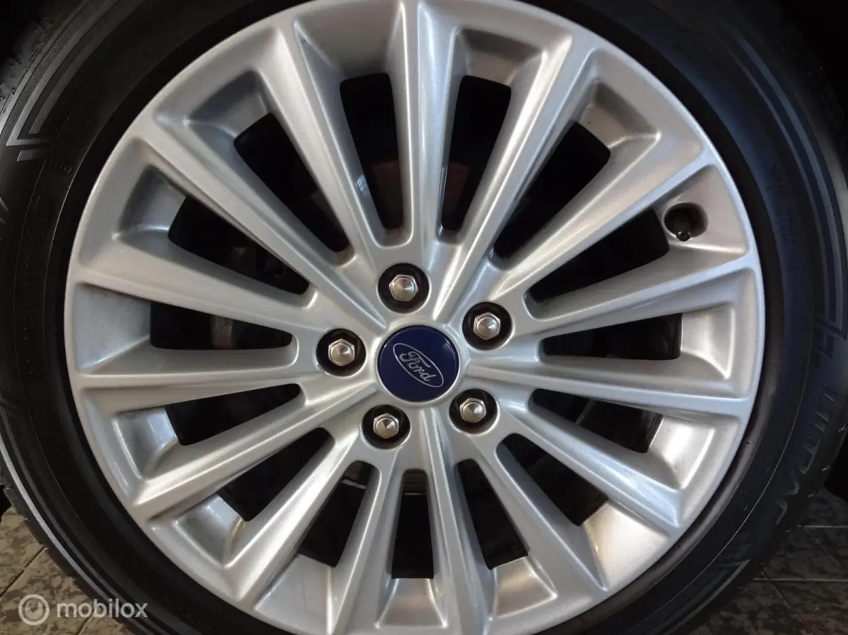 1.0 Ecoboost 125PK Titanium Clim. Contr Trekhaak