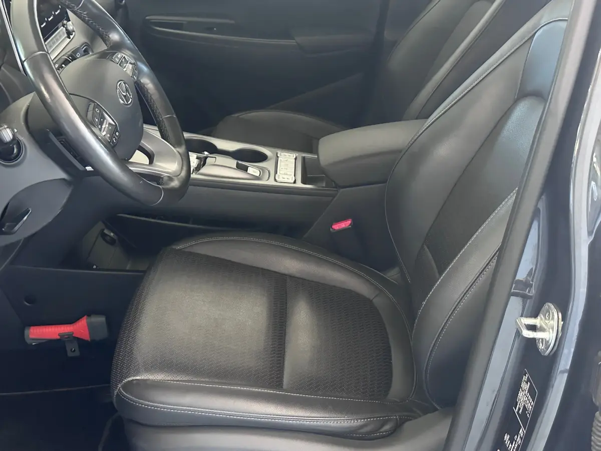 EV Limited 64 kWh FASE 3|SOH 100% HEADSUP|STOELVRM+VERKOELING|PANO|BLINDSPOT|LANEASSIST|ADAPT.CRUISE|ELEK.STO