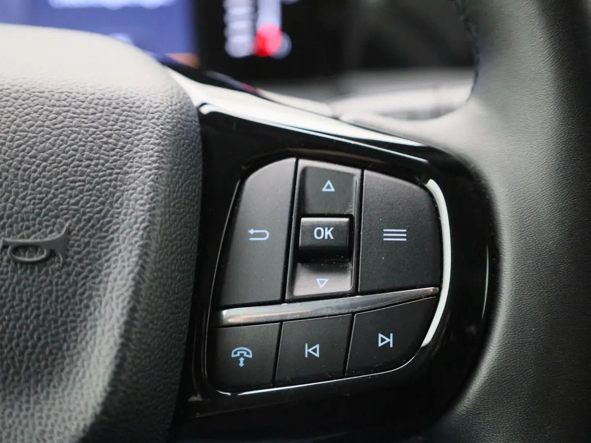 340 2.5 PHEV L2H1 Limited | Adaptieve Cruise Control | Stole-/stuurverwarming | Achteruitrijcamera | Lichtmetalen Velgen | Inklapbare Spiegels | VOL!