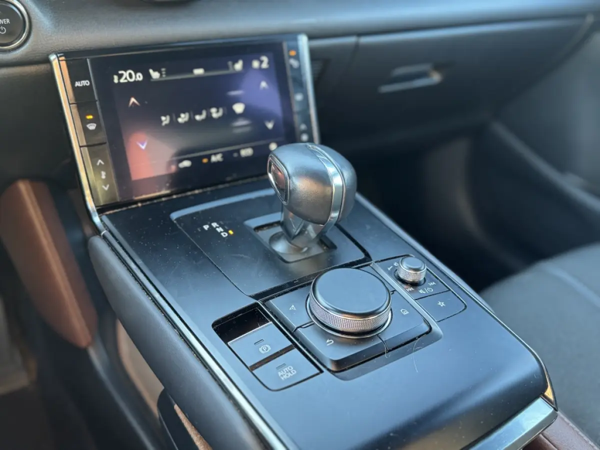 e-SA EV145 Advantage | Stoelverwarming | Memory | SOH 94%