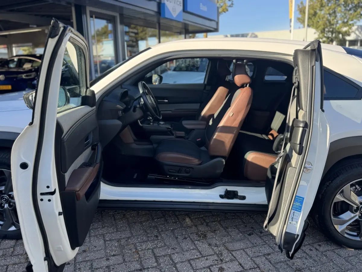 e-SA EV145 Advantage | Stoelverwarming | Memory | SOH 94%