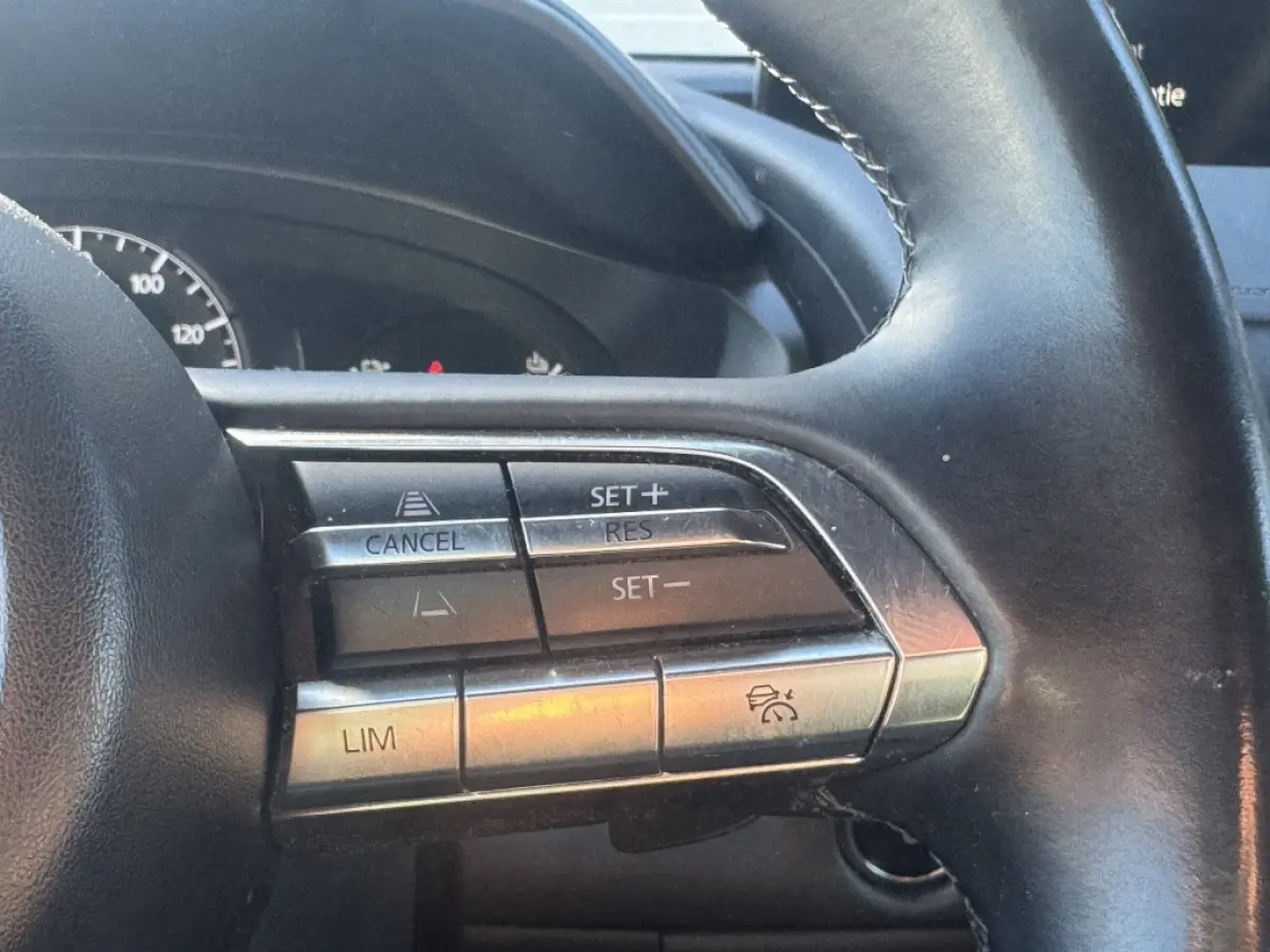 e-SA EV145 Advantage | Stoelverwarming | Memory | SOH 94%