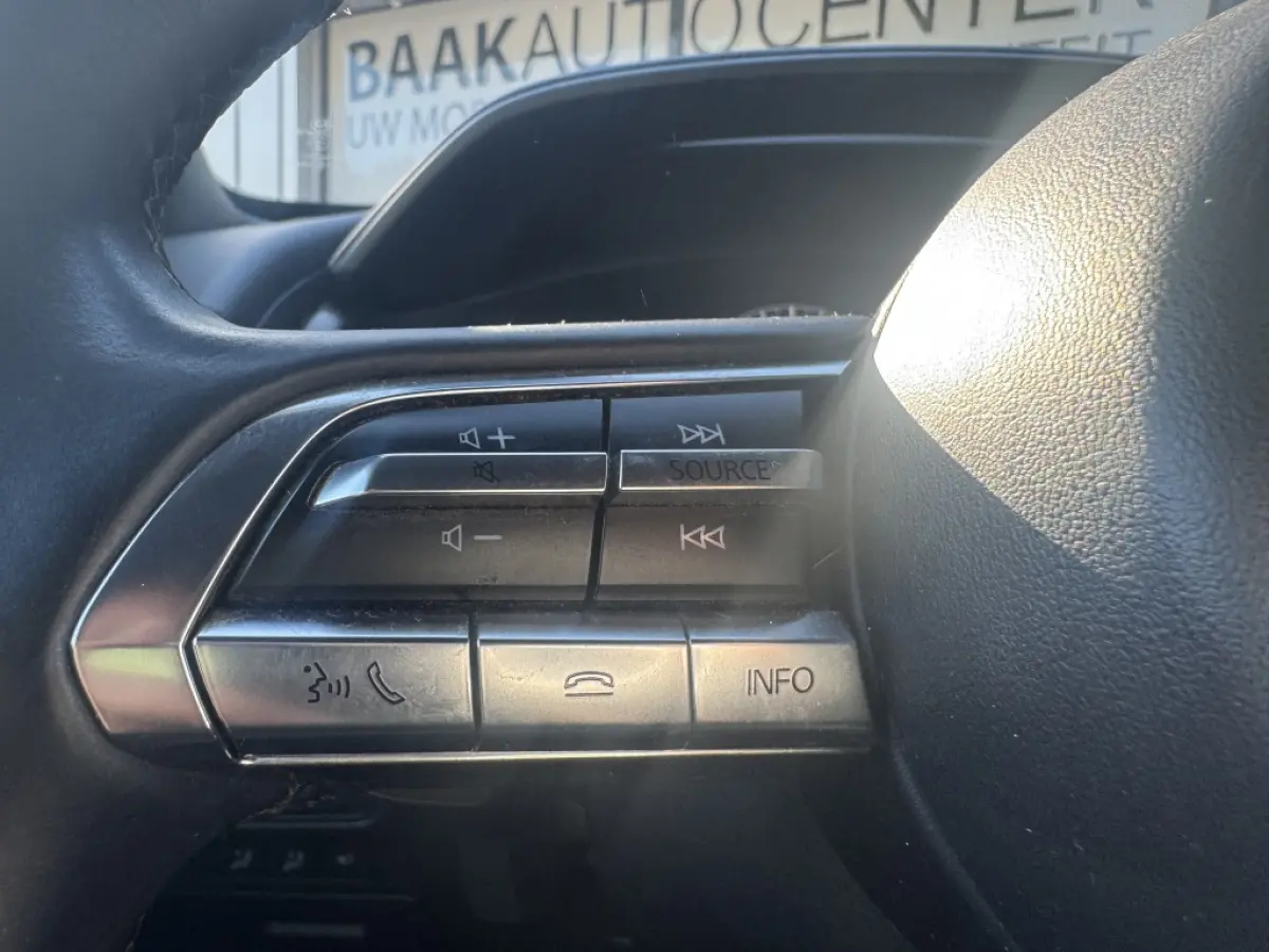 e-SA EV145 Advantage | Stoelverwarming | Memory | SOH 94%