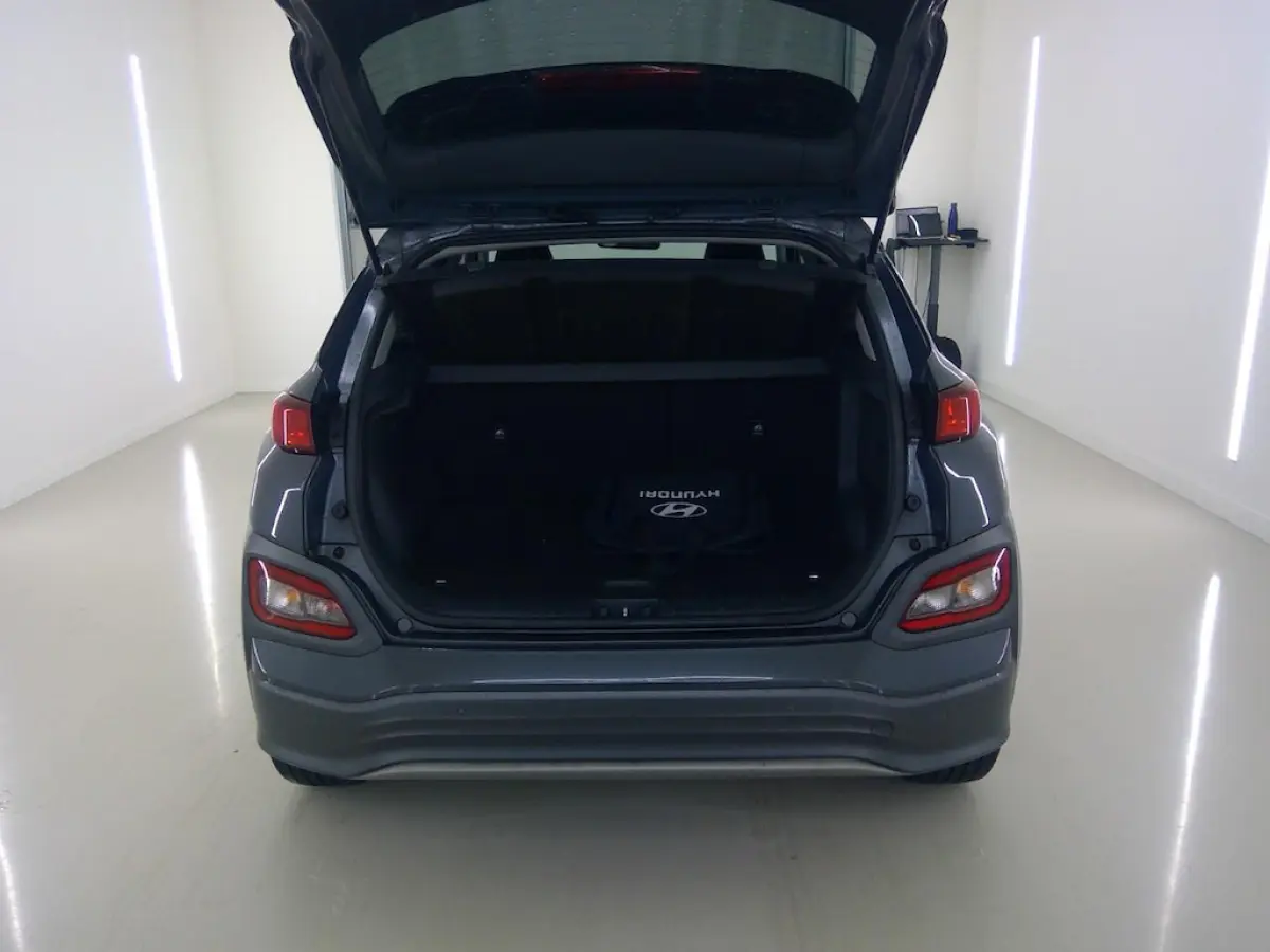 EV Limited 64 kWh FASE 3 SOH 100 % ||STOELVRM+VERKOELING|||LANEASSIST|ADAPT.CRUISE|ELEK.STOEL|KEYLESSGO|LEER