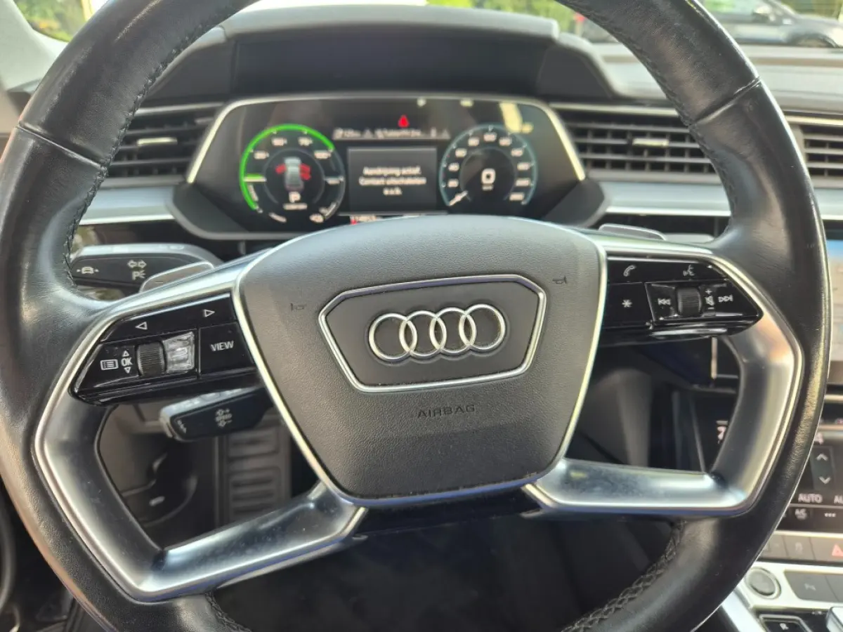 55 408 Pk Quattro Edition 95 KWh SOH 90% Luchtvering, Ecc