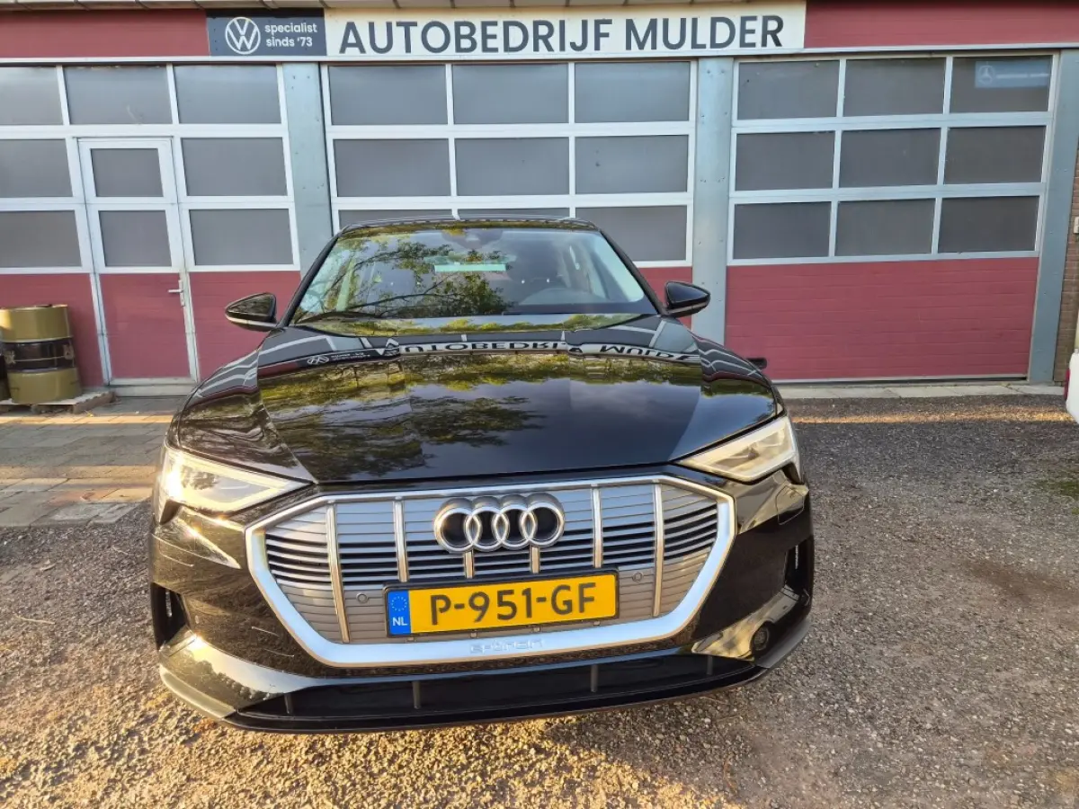55 408 Pk Quattro Edition 95 KWh SOH 90% Luchtvering, Ecc
