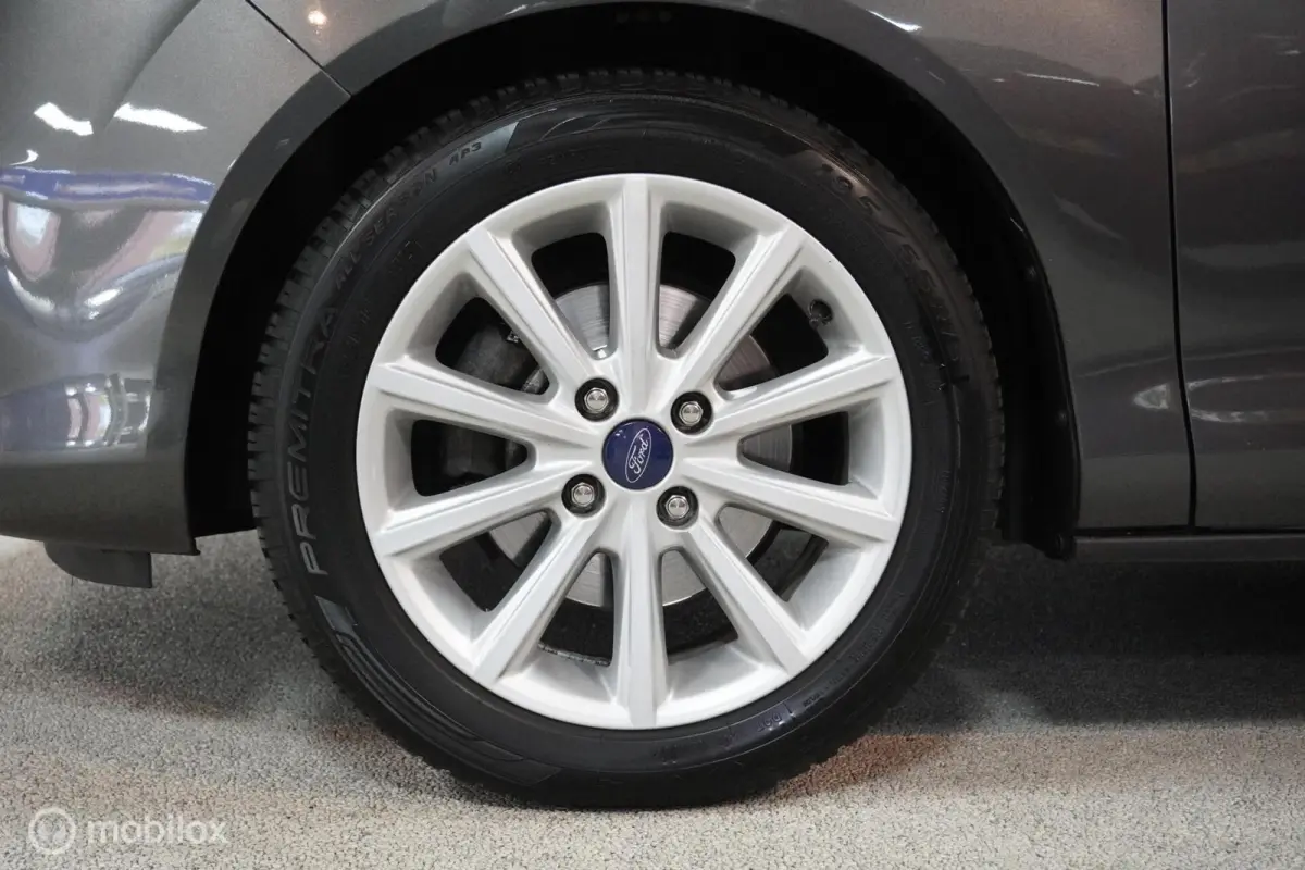 1.0 EcoBoost Titanium | Trekhaak |