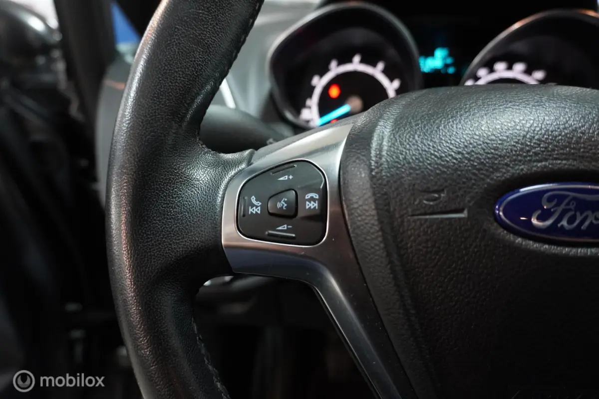 1.0 EcoBoost Titanium | Trekhaak |