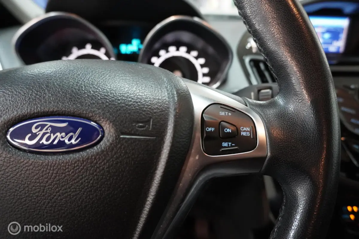 1.0 EcoBoost Titanium | Trekhaak |