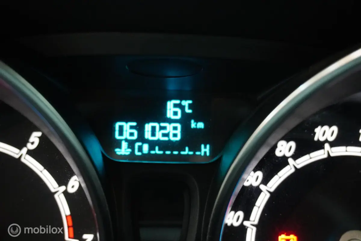 1.0 EcoBoost Titanium | Trekhaak |