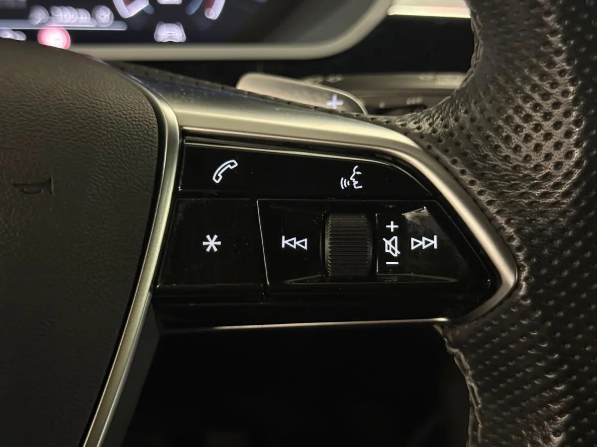 S quattro 95 kWh B&O Memory Sfeer Luchtvering