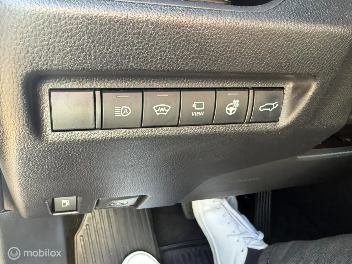 Hybrid AWD Executive | PANO | EXTRA'S - RIJKLAARPRIJS