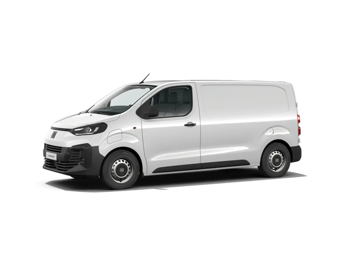 Professional Standaard | ABS met noodremassistentie / ESP en Hill Start Assist | Automatisch inschakelende verlichting en ruitenwissers | Cruise control met snelheidsbegrenzer (bediening ach