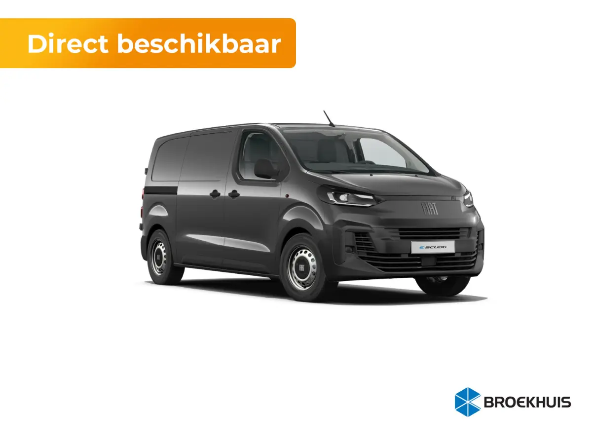 Professional Standaard | ABS met noodremassistentie / ESP en Hill Start Assist | Automatisch inschakelende verlichting en ruitenwissers | Cruise control met snelheidsbegrenzer (bediening ach