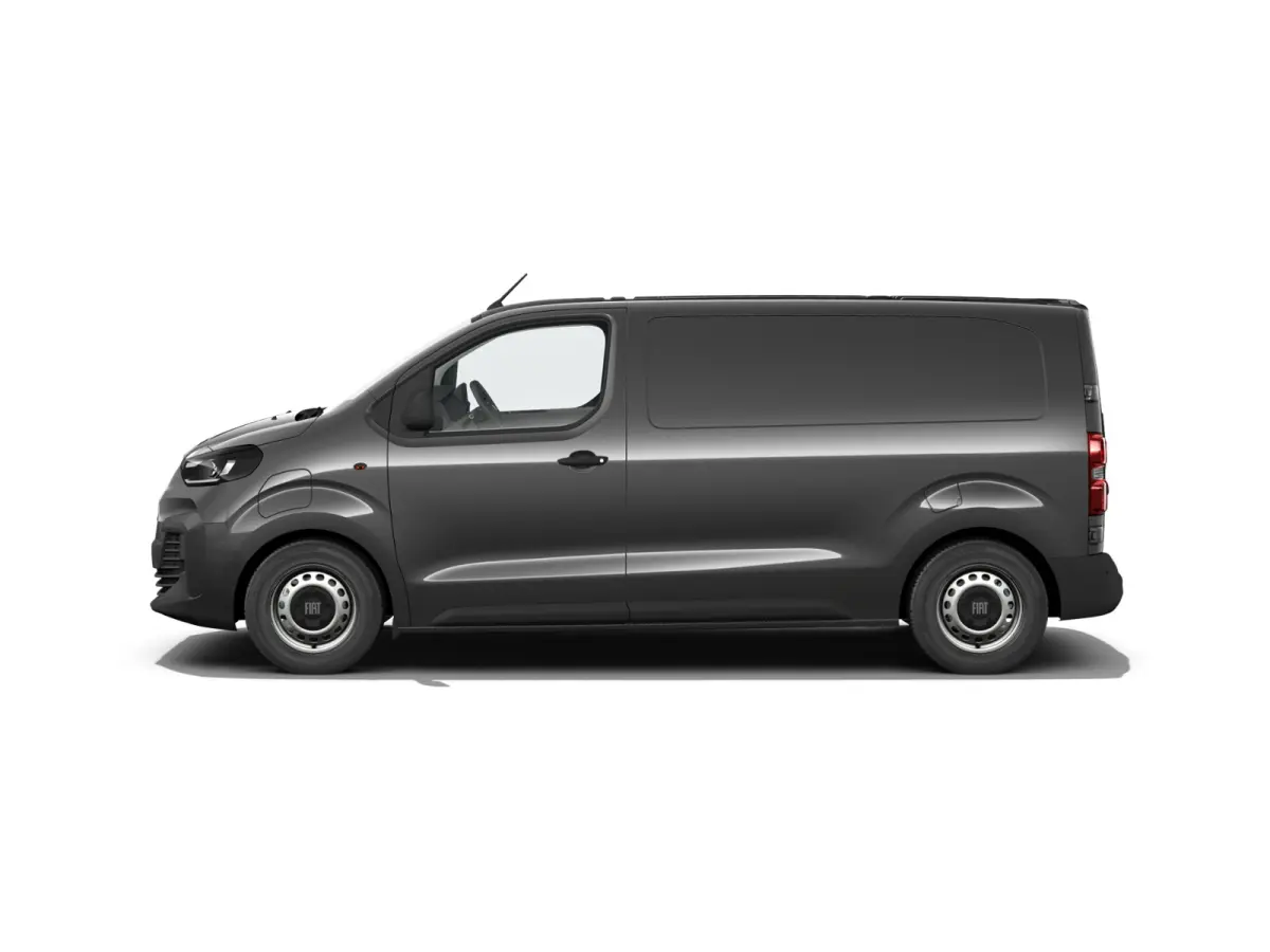 Professional Standaard | ABS met noodremassistentie / ESP en Hill Start Assist | Automatisch inschakelende verlichting en ruitenwissers | Cruise control met snelheidsbegrenzer (bediening ach