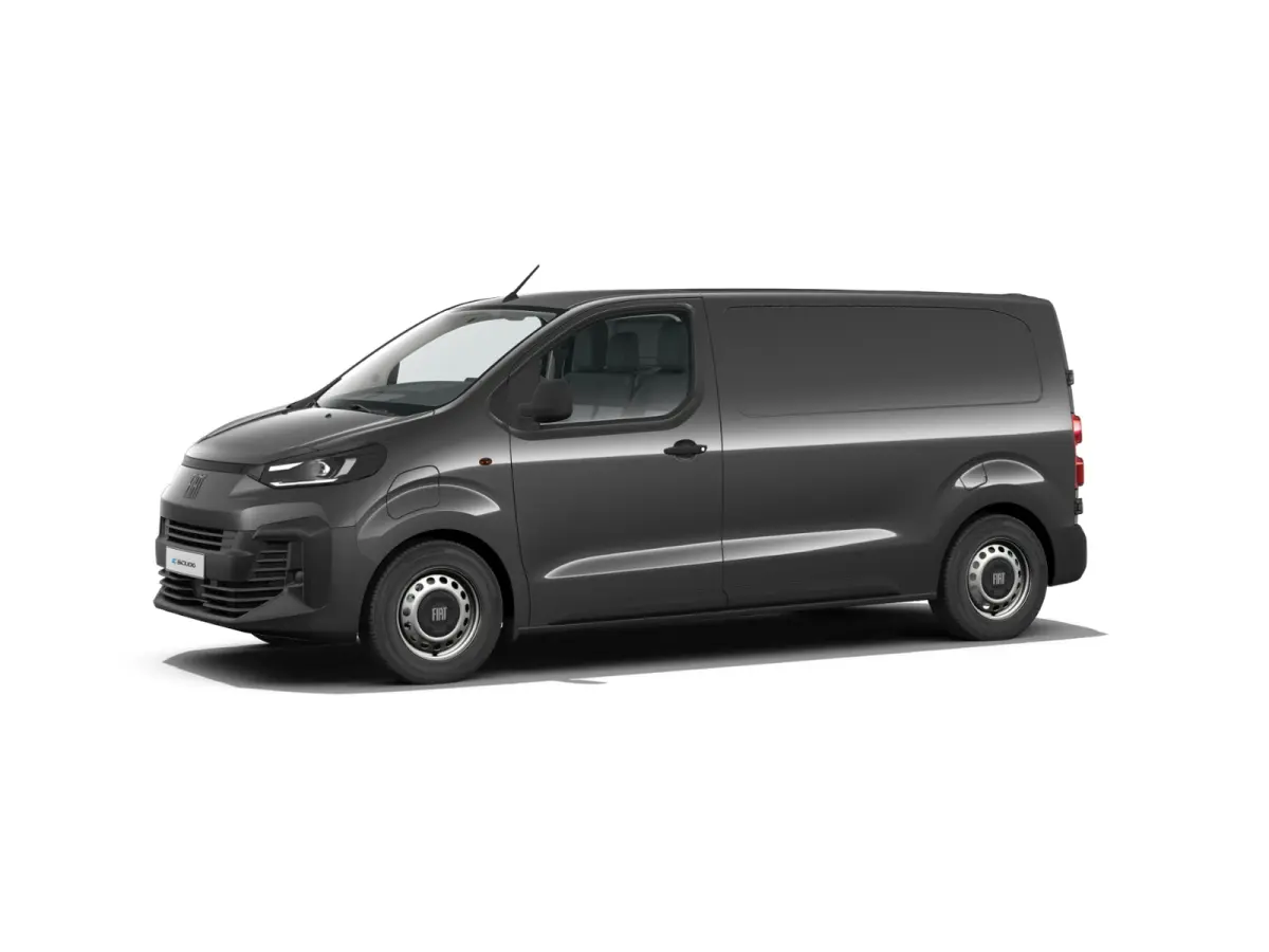 Professional Standaard | ABS met noodremassistentie / ESP en Hill Start Assist | Automatisch inschakelende verlichting en ruitenwissers | Cruise control met snelheidsbegrenzer (bediening ach