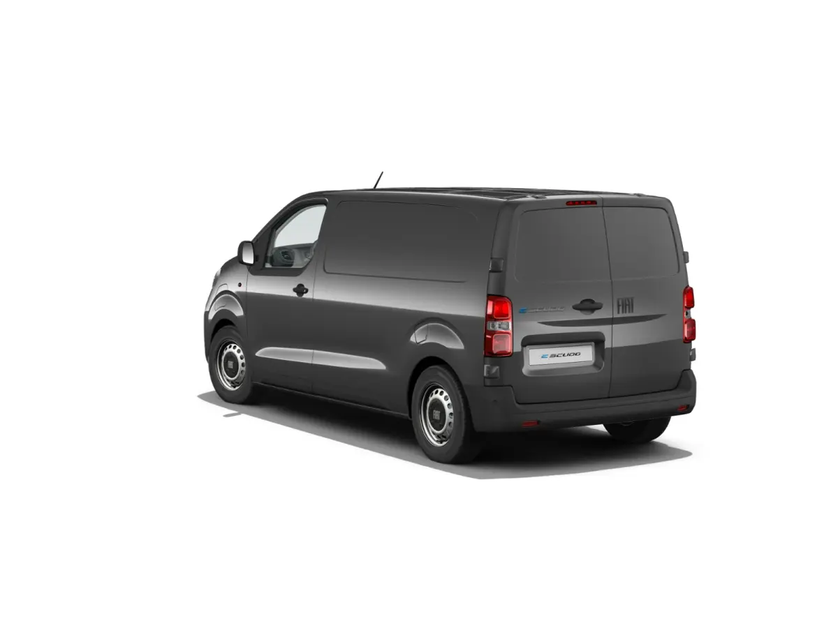 Professional Standaard | ABS met noodremassistentie / ESP en Hill Start Assist | Automatisch inschakelende verlichting en ruitenwissers | Cruise control met snelheidsbegrenzer (bediening ach