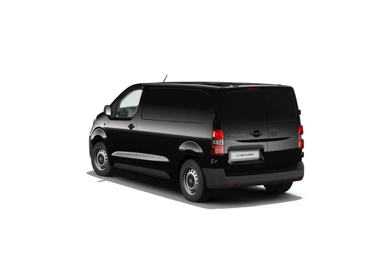 Professional Standaard | ABS met noodremassistentie / ESP en Hill Start Assist | Automatisch inschakelende verlichting en ruitenwissers | Cruise control met snelheidsbegrenzer (bediening ach