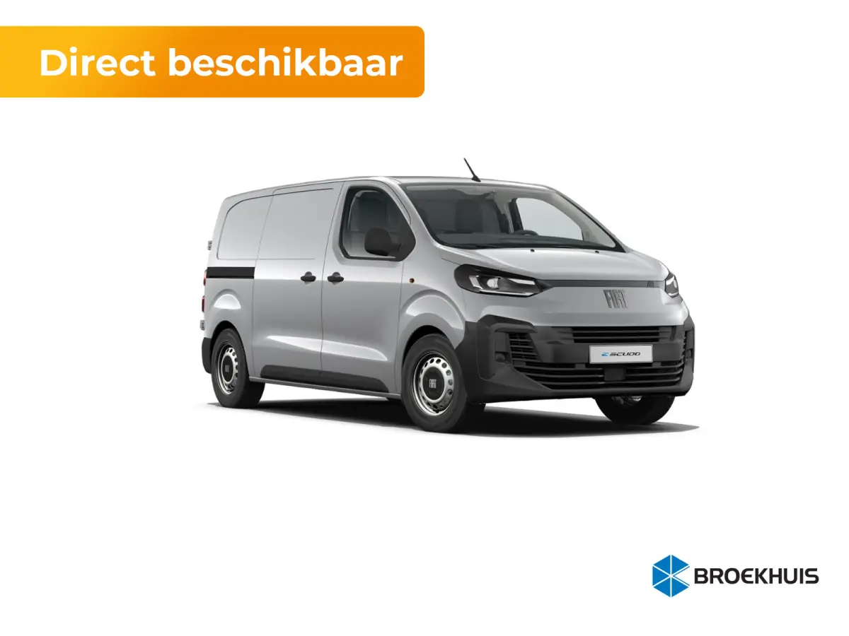 Professional Standaard | ABS met noodremassistentie / ESP en Hill Start Assist | Automatisch inschakelende verlichting en ruitenwissers | Cruise control met snelheidsbegrenzer (bediening ach