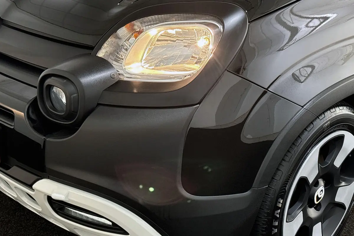 1.0 Hybrid Pandina Airco Apple CarPlay Cruise Control
