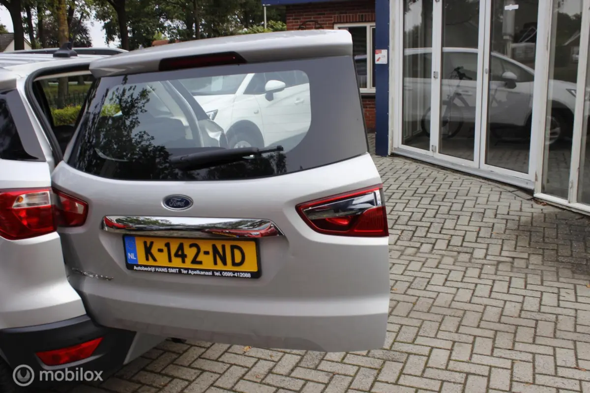 1.0 EcoBoost Titanium