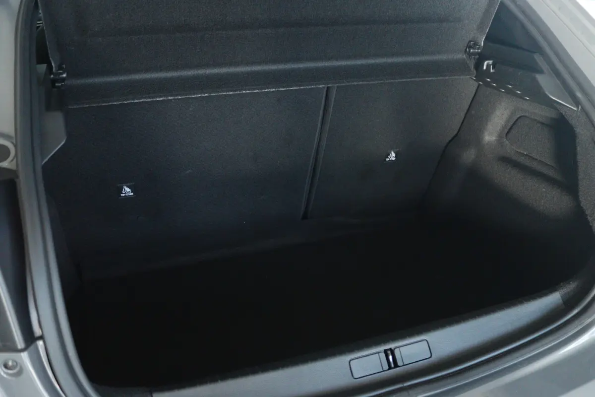 Hybrid 110 e-DCS6 Active | Cruise Control | Carplay | LED | Airco | Parkeersensoren | Eleklektrische Ramen