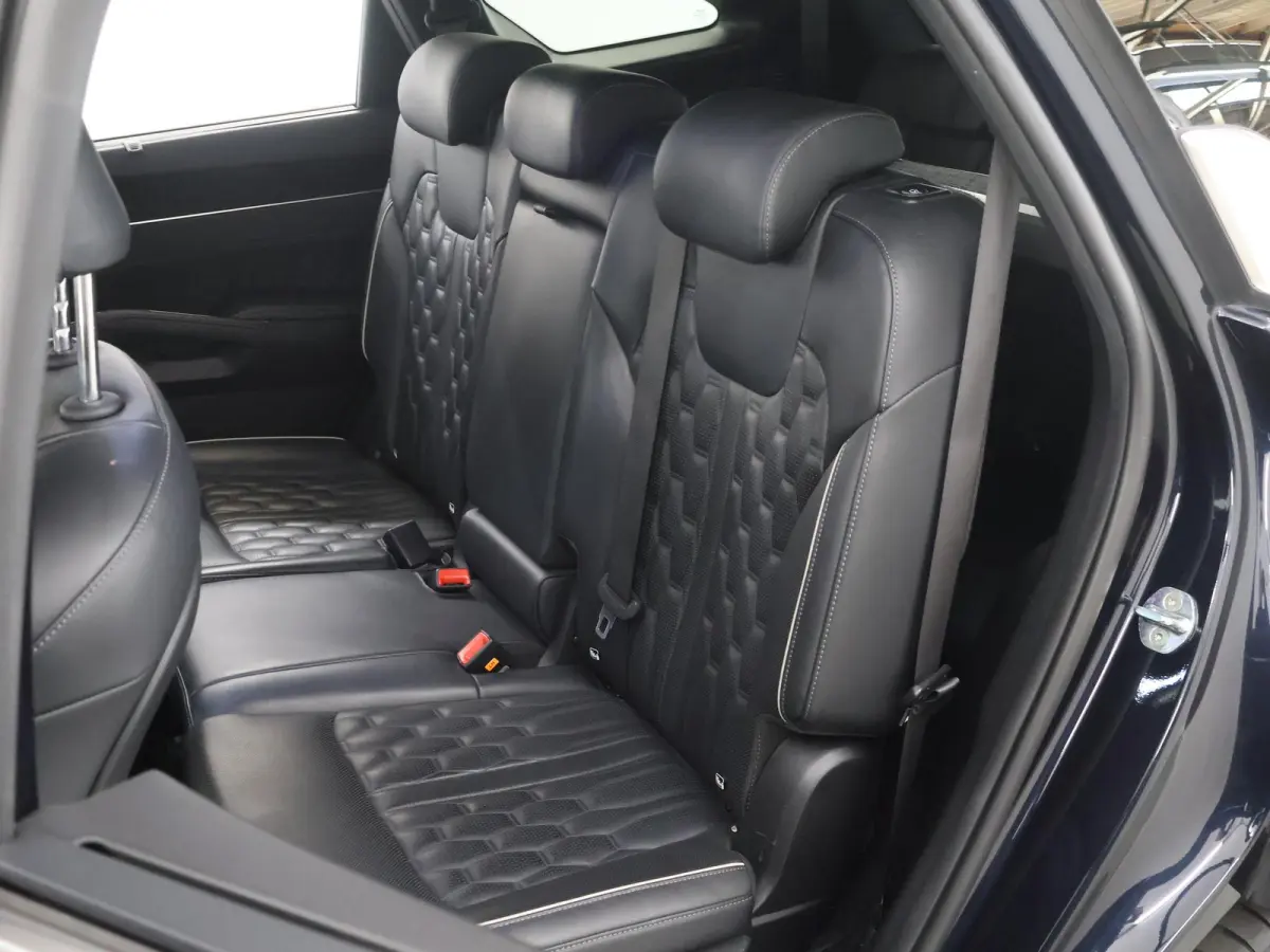 1.6T-GDI Plug-inHybrid 4WD DynamicPlusLine ed 7p. | Trekhaak Afneembaar | Stoel/Stuurverwarming | Leder | Bose Audio | Adaptieve Cruise Control |